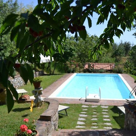 Agriturismo Lo Strettoio 卡斯德尔诺沃贝拉登卡 外观 照片